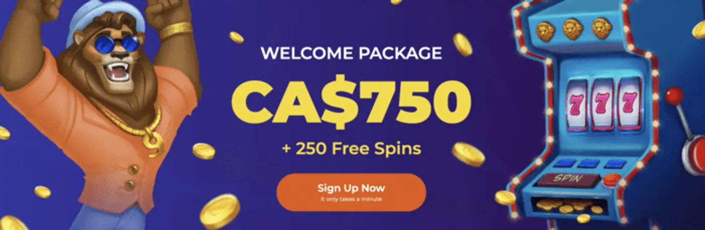Bets jogo de aposta
