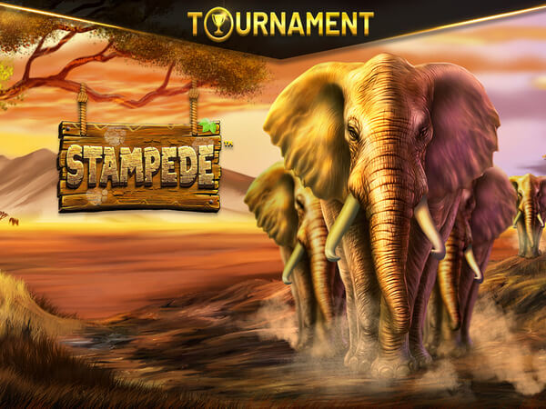 ParadiseWin Casino